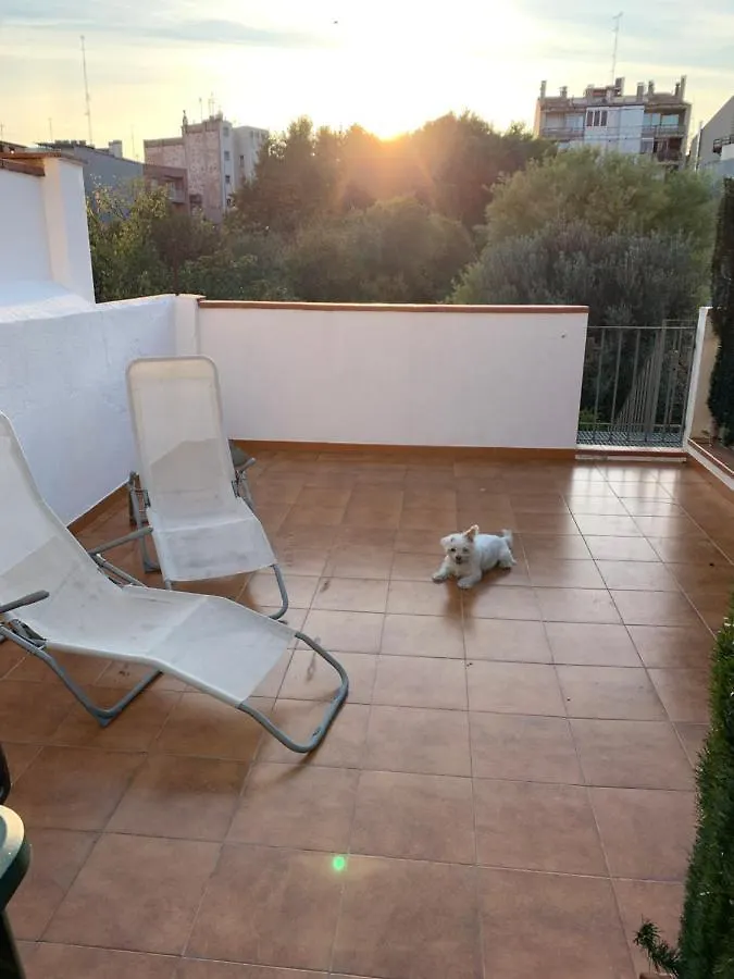 Apartamento Preciosa Vivienda Enorme Y Totalmente Equipada En El Centro De Figueres Figueras España